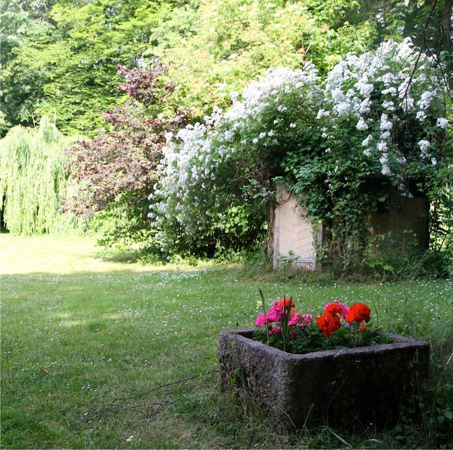 Domaine De Chantemerles ฟงแตนโบล ภายนอก รูปภาพ