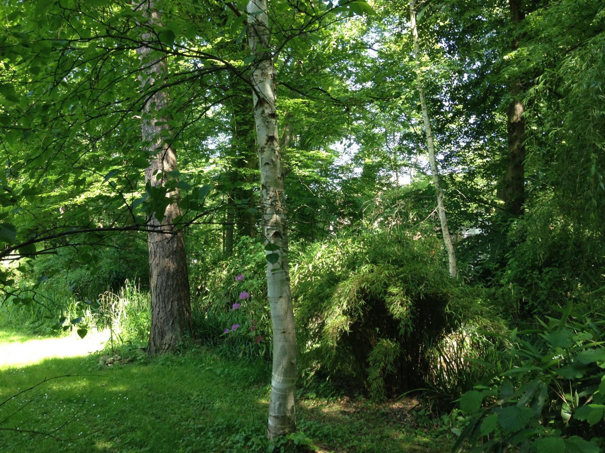Domaine De Chantemerles ฟงแตนโบล ภายนอก รูปภาพ