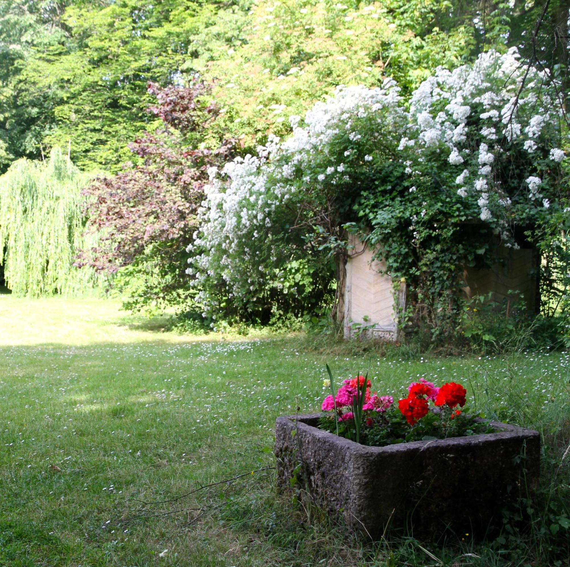 Domaine De Chantemerles ฟงแตนโบล ภายนอก รูปภาพ