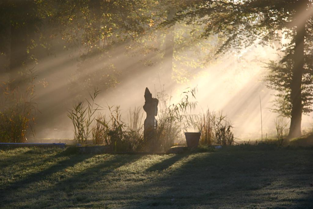 Domaine De Chantemerles ฟงแตนโบล ภายนอก รูปภาพ
